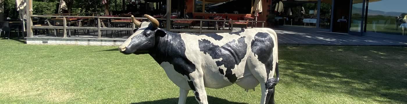 Fromagerie de Llívia | Mentions légales - Politique de confidentialité - Politique de cookies